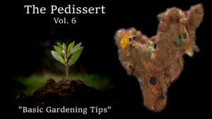 The Pedissert - Vol. 6 - "Basic Gardening Tips"